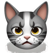 Angry cat sticker
