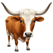 texas longhorn sticker