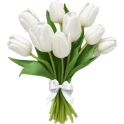 white tulip bouquet  sticker