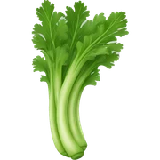 Celery sticker