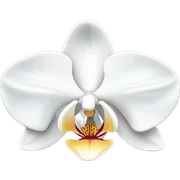 White orchid  sticker