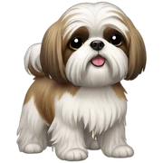 Old shih tzu sticker