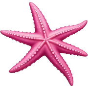 Pink starfish sticker