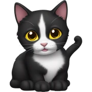 Black cat sticker