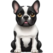black-French-bulldog sticker