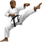 Karate  sticker