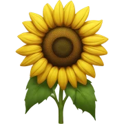 Sunflower  sticker