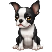 Boston terrier puppy sticker