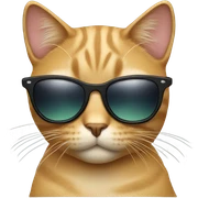 Cat with sunglasses sticker