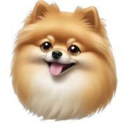 Pomeranian sticker