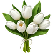 white tulip bouquet  sticker