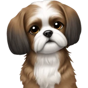 brown girl with black and white maltese shihtzu  sticker