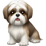 old dog shih tzu sticker