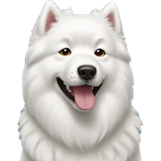 samoyed  sticker