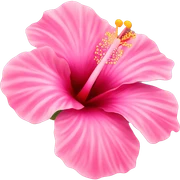 Pink hibiscus flower sticker