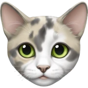 Dilute calico with green eyes laying sticker