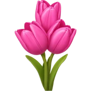 Pink tulips with a bow sticker