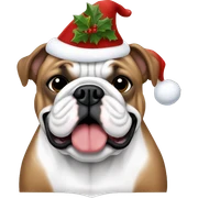 English bulldog Christmas  sticker