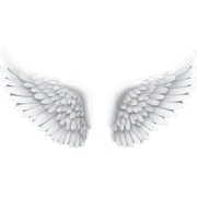 Angel wings  sticker