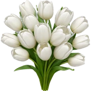 white tulip bouquet  sticker