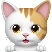 Cat in the car sticker
