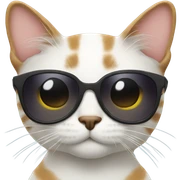 Cat with sunglasses sticker