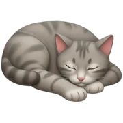 Sleeping cat sticker