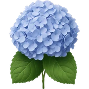 Hydrangeas  sticker