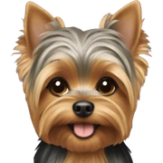 Yorkie  sticker