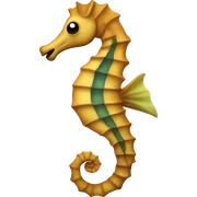 Sea horse sticker