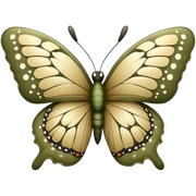 khaki butterfly sticker