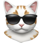 Cat with sunglasses sticker