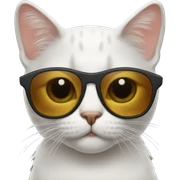 Cat with sunglasses sticker