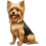 yorkshire dog sticker