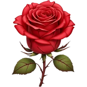 Broken rose
 sticker