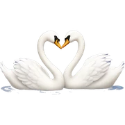 Swan couple love sticker