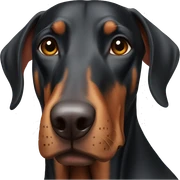 Doberman sticker