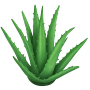 Aloe sticker