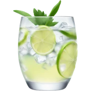 Classic Gin Tonic sticker