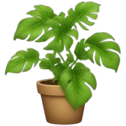plants sticker