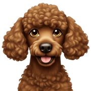 brown poodle  sticker