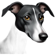 Black Greyhound sticker