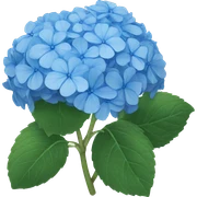 blue hydrangea  sticker