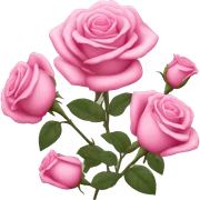 Pink roses sticker