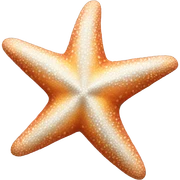 Starfish sticker