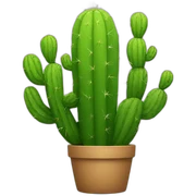 Cactus sticker