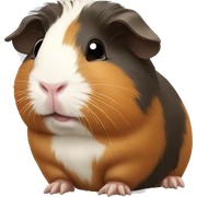 guinea pig sticker