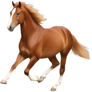 Freiberger horse, chestnut colour, cantering  sticker