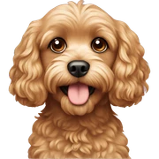 Cavapoo sticker