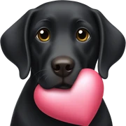 Black Labrador holding a love heart  sticker